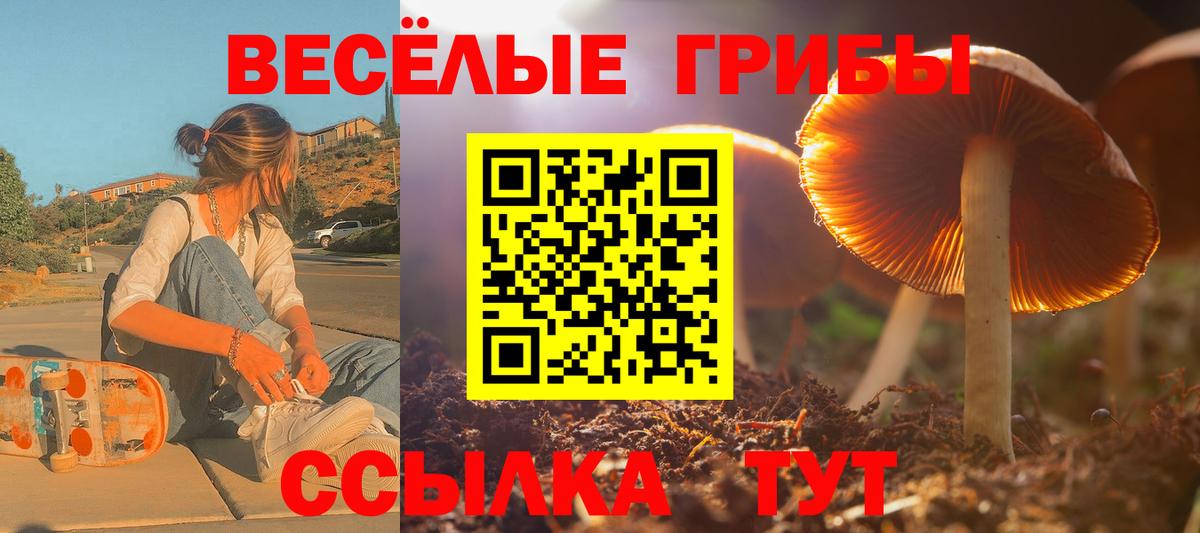 Псилоцибиновые грибы мицелий  Галлюциногенные грибы мухоморы  Вход с VPN  Среднеуральск 